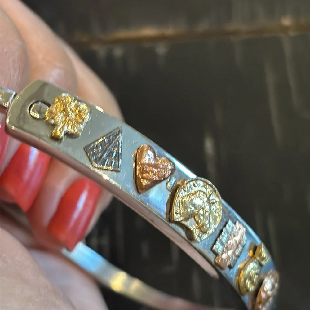 Multi-Character Bangle Bracelet Silver Bronze Gold Tone Bracelet Horseshoe Money